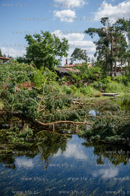 Rytel k. Chojnic. Skutki nawałnicy, która z piątku...