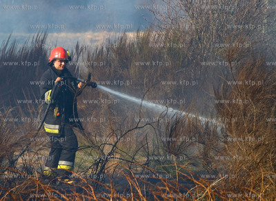 Gdansk. Groznego pozaru na terenie bylego poligonu...