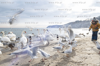 Zima w Gdyni. Plaża Miejska.31.01.2021 Fot. Anna...