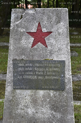 Czersk na Pomorzu. Cmentarz na którym pochowano 1196...