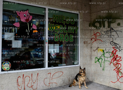 Gdansk Wrzeszcz. Pies pod sklepem miesnym przy ul....