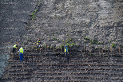 Gdańsk. Rewitalizacja Opływu Motławy. Wymiana darni...