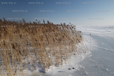 Zima na Mierzei Wiślanej. Widok na zamarznięty Zalew...