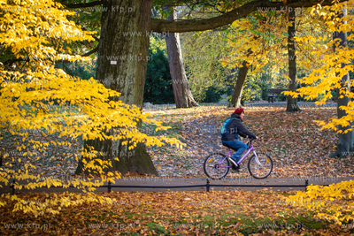 Gdańsk.  Jesień w Parku Oliwskim.  20.10.2022 /Fot....