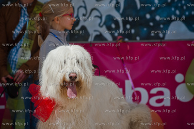 Sopocki Rynek Artystyczny i Ludowy Sopotello. Psia...