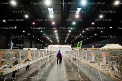 Gdansk. Gdansk. Amber Expo. 8. Miedzynarodowe Targi...