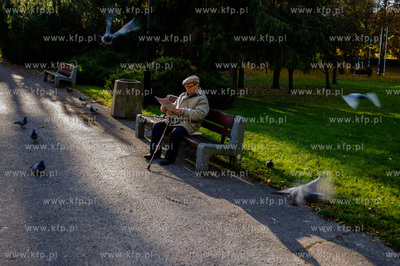 Gdansk. Jesienne, sloneczne przedpoludnie w Parku Orunskim.
27.10.2015
fot....
