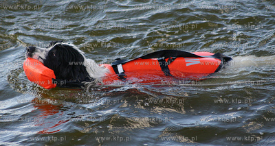 W ramach odbywajacych sie w Gdansku targow Balt Military...