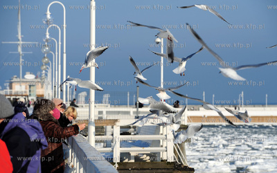 Sopot. Zimowa sceneria na plazy i sopockim molo. 16.02.2012...