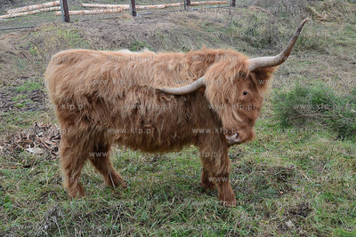 11.11.2013 o godz. 11:11 otwarto ZOO FARME W Debogorzu,...