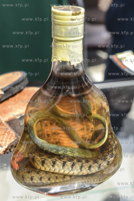 Gdynia. Dzień otwarty w Bałtyckim Terminalu Kontenerowym...