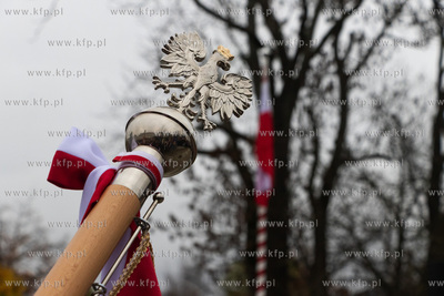 Obchody Święta Niepodległości w Pruszczu Gdańskim.
11.11.2025
fot....