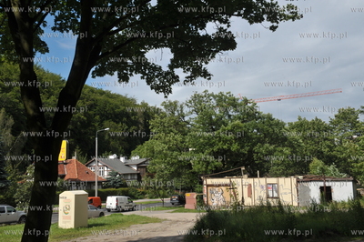 Pośrodku ulicy Jaskowej Doliny, rośnie rozłożysty...