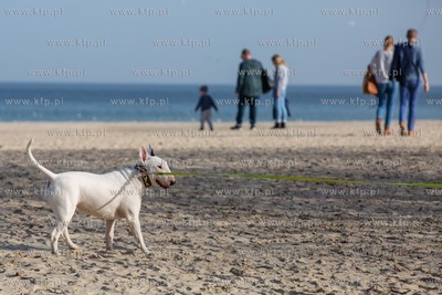 Wiosenne popołudnie w Gdańsku - Jelitkowie. 25.02.2021...