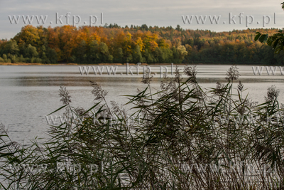 Jesienny krajobraz nad jeziorem w Otomińskim. 17.10.2021...