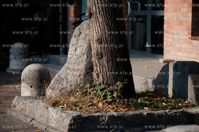 Gdansk. Orunia. Lapidarium Orunskie.
18.10.2011
fot....