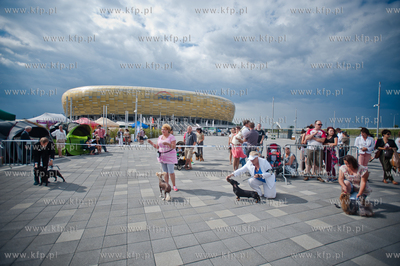 Gdansk. Teren przed stadionem PGE Arena. Miedzynarodowa...