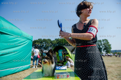 Sopot. Hipodrom. Miedzynarodowa Wystawa Psow Rasowych.
23.08.2015
fot....