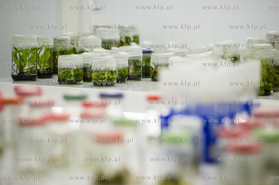 Gdansk. Otwarcie Instytutu Biotechnologii Uniwersytetu...