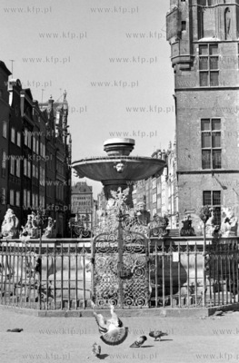 Dlugi Targ w Gdansku - nz misa fontanny Neptuna. Postac...