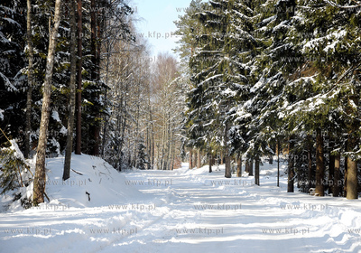 Szymbark /Kartuz. Zima na Kaszubach.
26.03.2009
Fot....