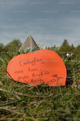 Mlodziez z roznych regionow Polski w miejscowosci Zagorzyczki...