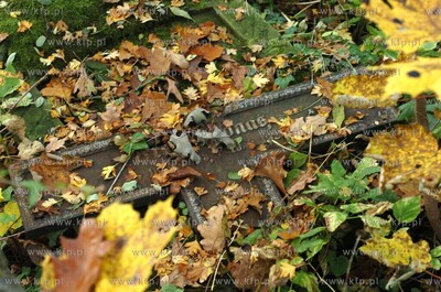 Opuszczony poniemiecki cmentarz w miejscowosci Osowo...