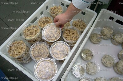 Slupsk. MOPR Wigilia dla bezdomnych i ubogich.
24.12.2009
Fot....