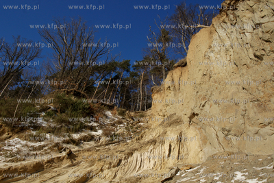 Mrozny poranek w Gdyni Orlowie. Nz. klif  24.01.2010...