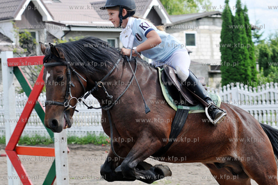 Stadnina koni MORINA w Redzie/Wejherowa. Towarzyskie...