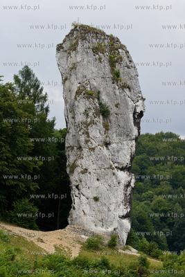 Maczuga Herkulesa, wapienny ostaniec skalny w ksztacie...