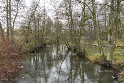 Starogard Gdański,Ścieżka Edukacyjna " Dolina Wierzycy"10.11.2019Fot....