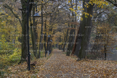 Park w Wojanowie w gminie Pruszcz Gdański jesienią....