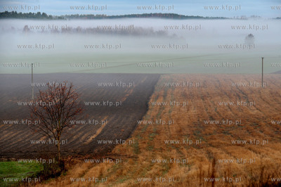 Poranna mgla nad polami w dolinie. Wies Zeblewo w gminie...