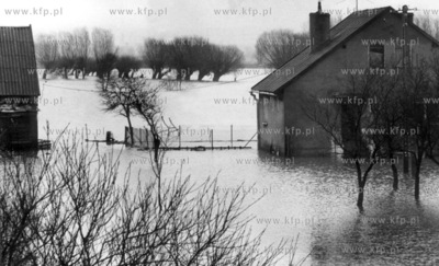 Powodz na Zulawach. 01.1983 Fot. Zbigniew Kosycarz...