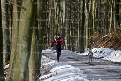 Sopot. Borodziej. Zawody dogtrekkingu - inauguracja...