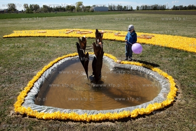 Mokry Dwor. Zulawski Tulipan. Z okolo jednego miliona...