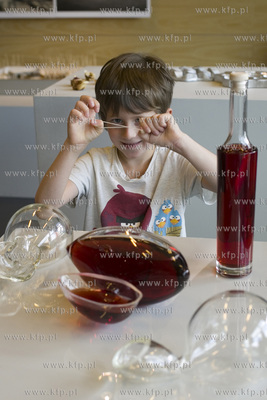 Gdynia Design Days, Wystawy w  Pomorskim Parku Naukowo...