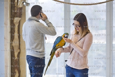 Nowa Papugarnia w Gdańsku Suchaninie.
29.12.2016
fot....