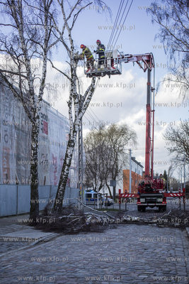 Akcja usuwania drzewa, które na skutek wichury oparło...