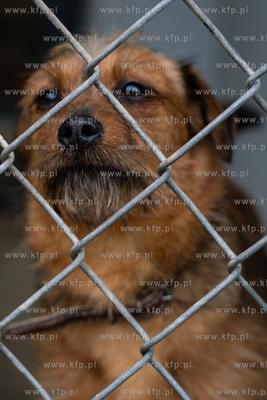 Walentynkowy Dzień Otwarty w Sopotkowie. 12.02.2023...