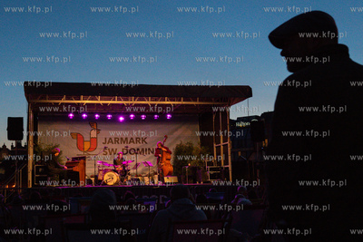 Gdańsk, Ołowianka. Jazz na Wyspie 2023. Nz. Koncert...