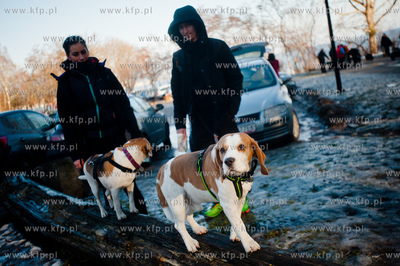Gdynia. Polanka Redlowska. Pomorski Puchar Dogtrekkingu.
08.02.2014
fot....