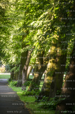 Gdańsk. Park Akademicki. 17.07.2017 fot. Mateusz Ochocki...