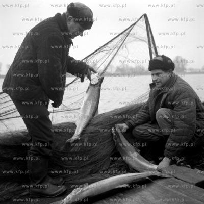 Rybacy z Górek Wschodnich po powrocie z połowu. 
1962
0009306z
Fot....
