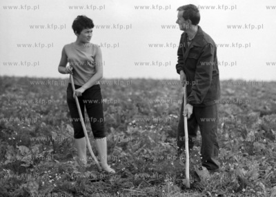 Rozmowa w przerwie prac polowych. (lata60)
1968
0002270z
Fot....