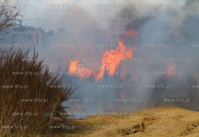 Gdansk. Groznego pozaru na terenie bylego poligonu...