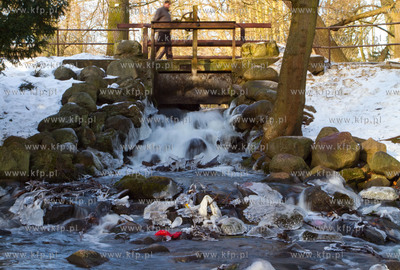 Park Oliwski zima.
30.01.2011
fot. Sebastian Elijasz...