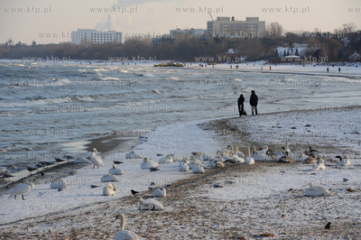 Zimowe molo w Sopocie. Nz. plaza kolo molo. 1.02.2012...