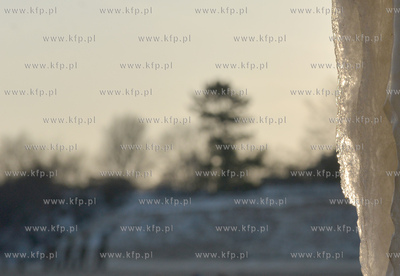 Gdynia Orlowo w zimowej szacie. Oblodzone filary orlowskiego...